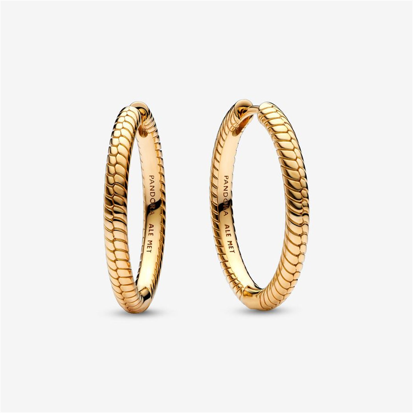 S925 Sterling Silver Moments Charm Hoop Earrings