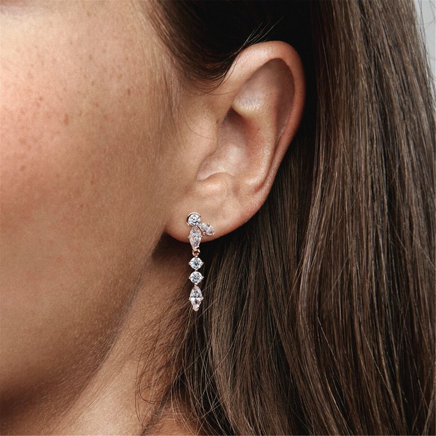 S925 Sterling Silver Sparkling Herbarium Cluster Drop Earrings