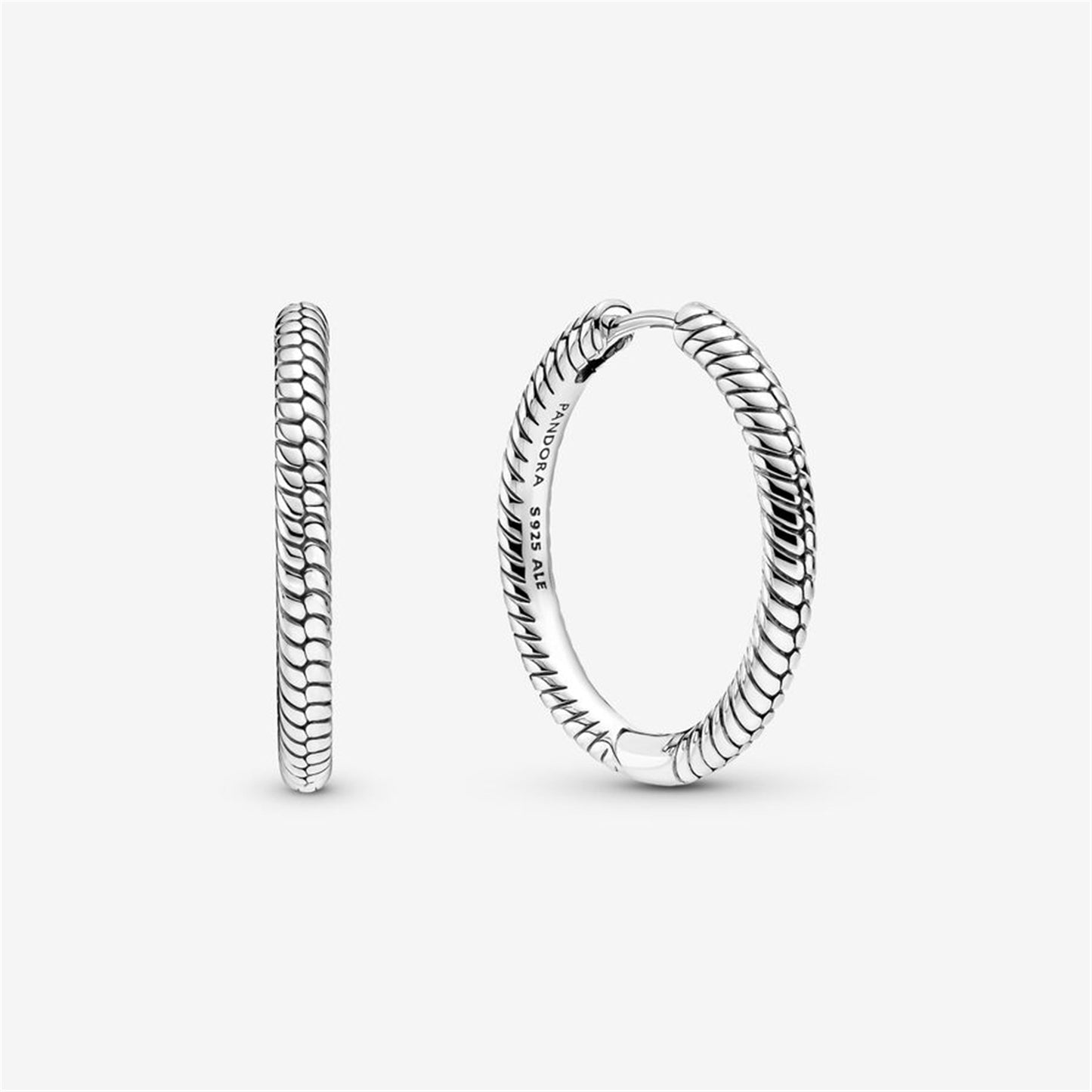 S925 Sterling Silver Radiant Sparkling Hearts Hoop EarringsMoments Charm Hoop Earrings