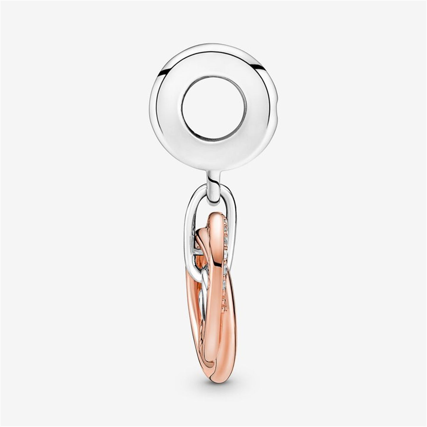 S925 Sterling Silver Family Always Encircled Dangle Charm