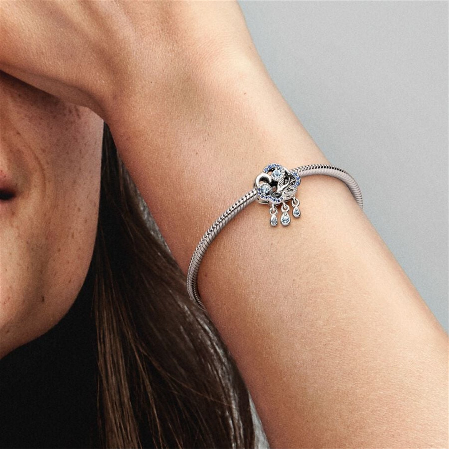 S925 Sterling Silver Cloud & Swallow Charm