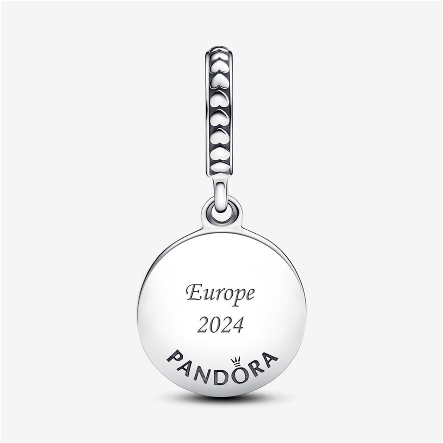 S925 Sterling Silver Friends Are Family Dangle Charm